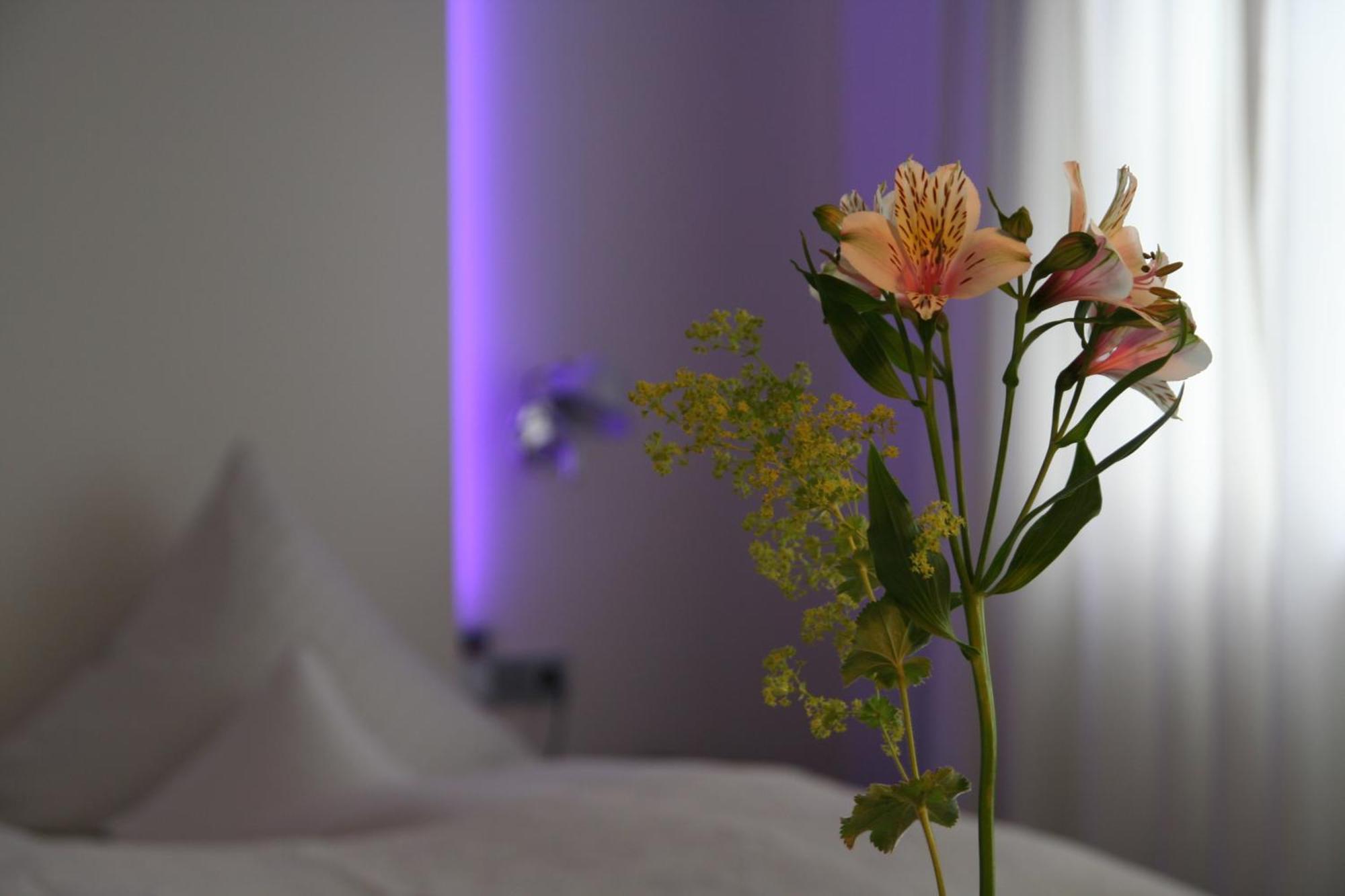 Hotel Am Main Veitshöchheim Pokój zdjęcie
